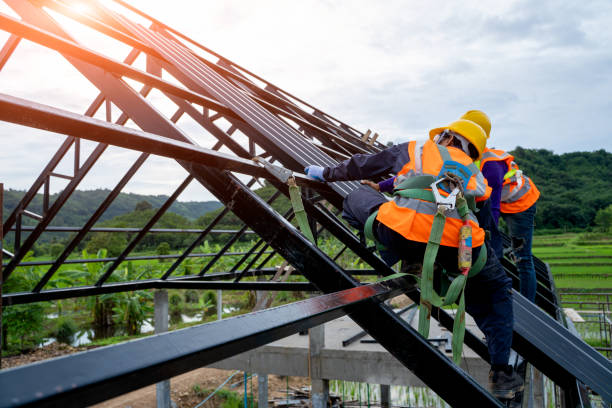 Best Local Roofing Companies  in Montgomery, MN