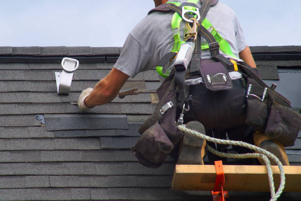 Best Roof Gutter Cleaning  in Montgomery, MN
