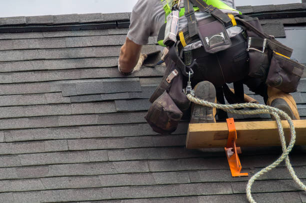 Best Flat Roof Repair Services  in Montgomery, MN