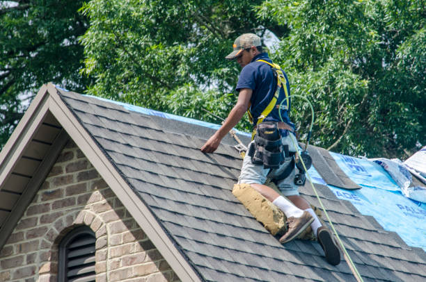 Best Roof Gutter Cleaning  in Montgomery, MN